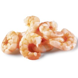 FOURFISH ΓΑΡΙΔΕΣ ΑΠΟΦΛΟΙΩΜΕΝΕΣ 20/40 ΕΠΙ ΠΑΓΟΥ 500gr