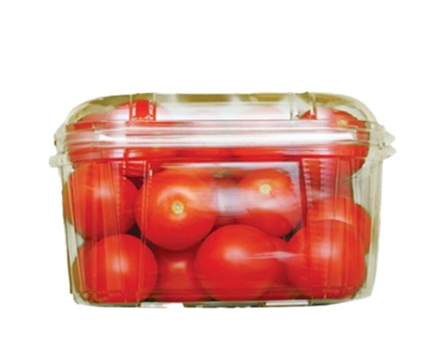 ΤΟΜΑΤΙΝΙ ΒΕΛΑΝΙΔΙ ΚΡΗΤΗΣ ~800gr - 900gr