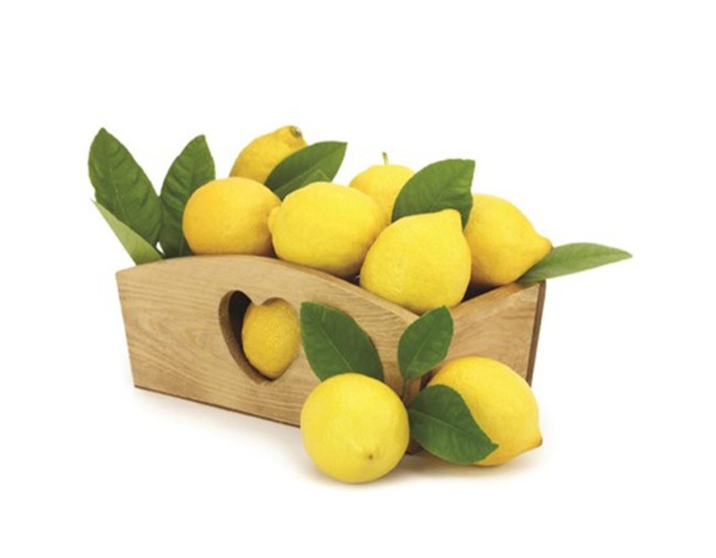 ΛΕΜΟΝΙΑ ΑΙΓΥΠΤΟΥ 500gr ~ 3 τμχ