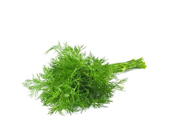 ΑΝΙΘΟΣ ΜΑΡΑΘΩΝΑ