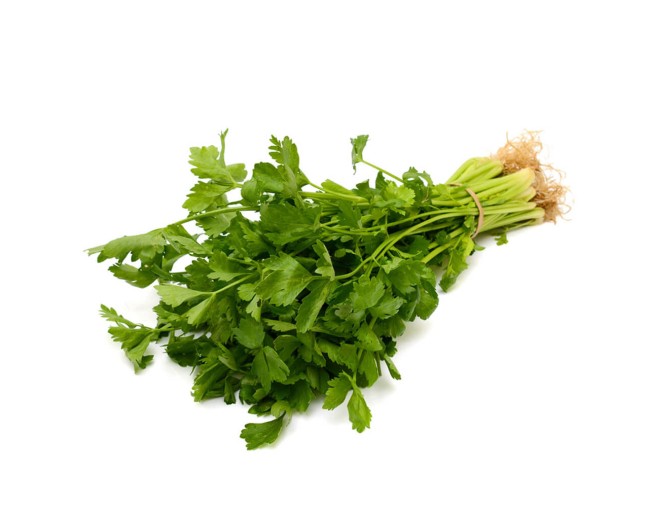 ΣΕΛΙΝΟ ΜΕΓΑΡΩΝ