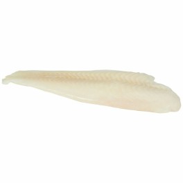 FOURFISH ΓΛΩΣΣΑ ΦΙΛΕΤΟ SHRINK FF ΕΠΙ ΠΑΓΟΥ