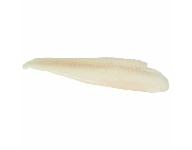 FOURFISH ΓΛΩΣΣΑ ΦΙΛΕΤΟ SHRINK FF ΕΠΙ ΠΑΓΟΥ